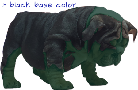 Tricolor-a-2